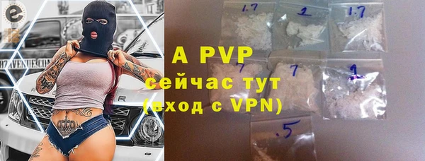 ГАЛЛЮЦИНОГЕННЫЕ ГРИБЫ Зуевка